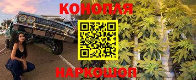spice Коммунар
