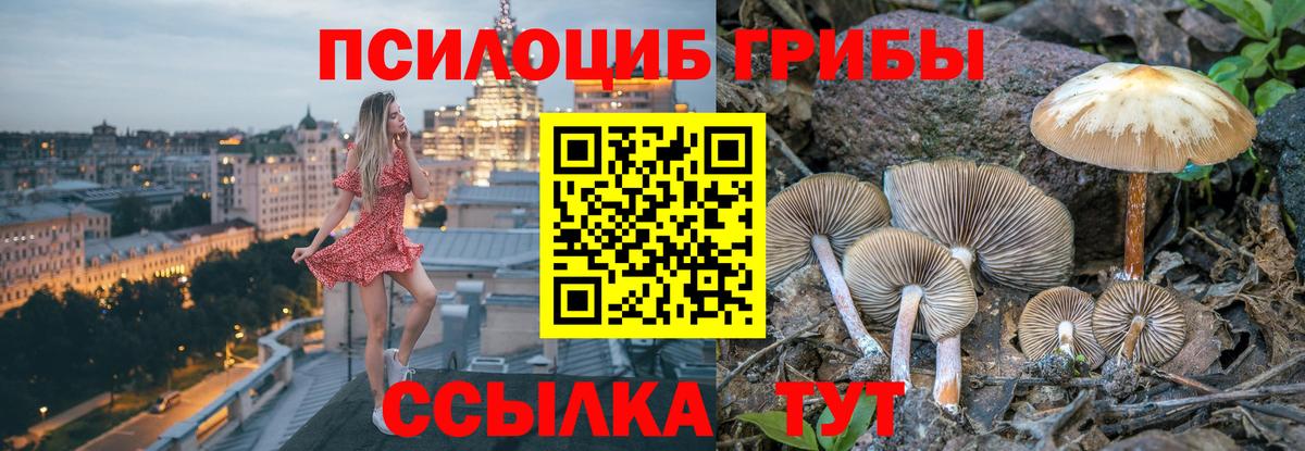 Бирск  Галлюциногенные грибы Cubensis  Вход с VPN  Псилоцибиновые грибы GOLDEN TEACHER 